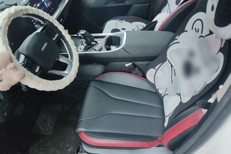 Used Haval X DOG 2022 1.5T DCT Four-Wheel Drive Trendy Wild Edition Left Front Seat