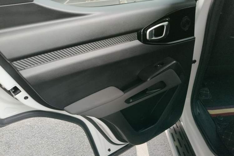 Used Haval X DOG 2022 1.5T DCT Two-Wheel Drive Trendy Edition Left Rear Door Interior