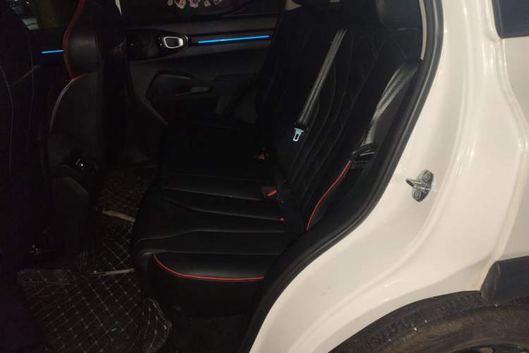 Used Haval X DOG 2022 1.5T DCT Two-Wheel Drive Trendy Edition Left Rear Seat
