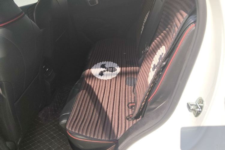 Used Haval X DOG 2022 1.5T DCT Two-Wheel Drive Trendy & Cool Edition Left Rear Seat