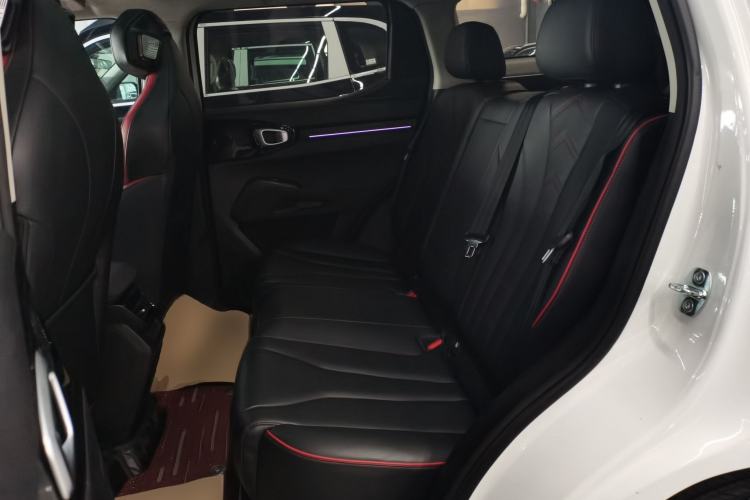 Used Haval X DOG 2022 1.5T DCT Two-Wheel Drive Trendy Sound Edition Left Rear Seat