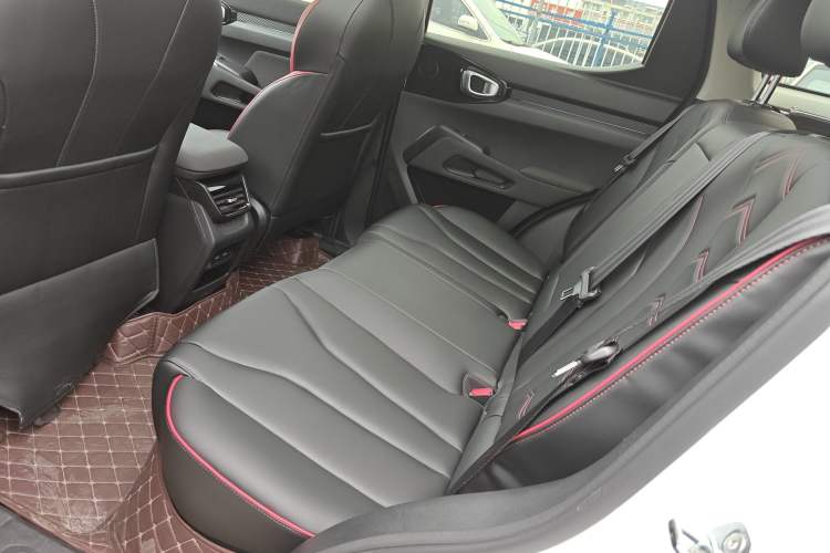 Used Haval X DOG 2022 1.5T DCT Two-Wheel Drive Trendy Edition Left Rear Seat