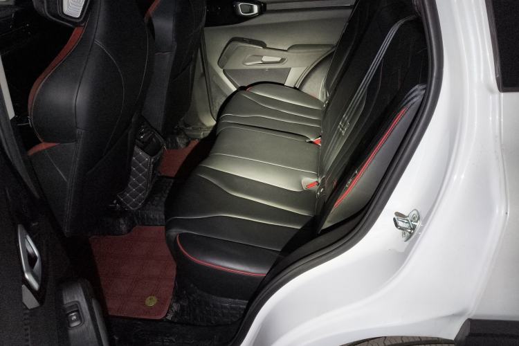 Used Haval X DOG 2022 1.5T DCT Four-Wheel Drive Trendy Wild Edition Left Rear Seat