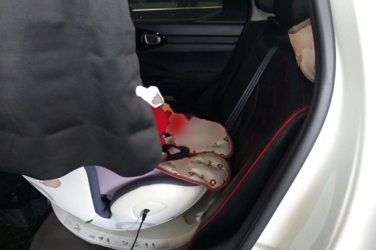Used Haval X DOG 2022 1.5T DCT Two-Wheel Drive Trendy Edition Left Rear Seat