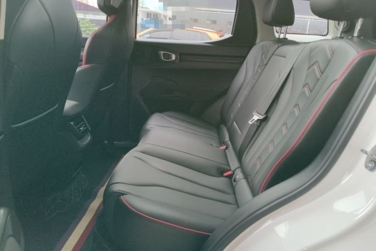 Used Haval X DOG 2022 1.5T DCT Two-Wheel Drive Trendy Edition Left Rear Seat