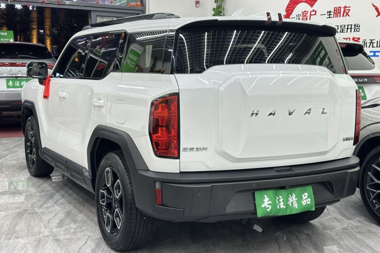 Used Haval X DOG 2022 1.5T DCT Two-Wheel Drive Trendy Edition Left Side