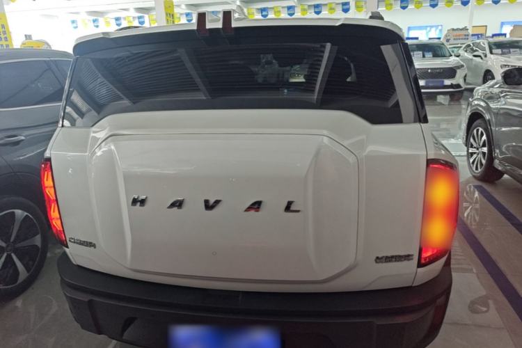 Used Haval X DOG 2022 1.5T DCT Two-Wheel Drive Trendy Edition Rear