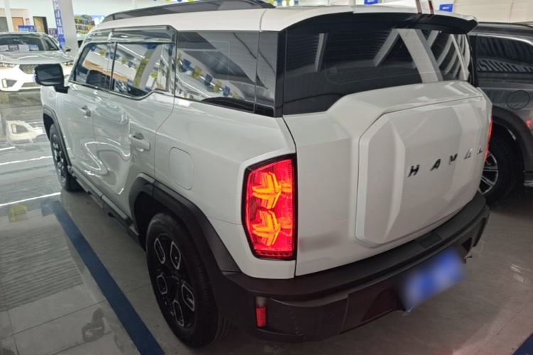 Used Haval X DOG 2022 1.5T DCT Two-Wheel Drive Trendy Edition Rear Left 45 Deg