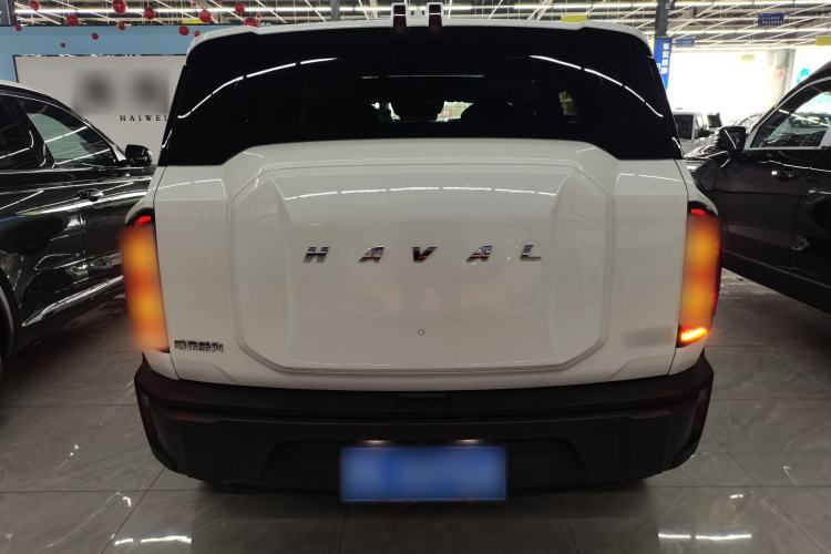 Used Haval X DOG 2022 1.5T DCT Two-Wheel Drive Trendy Sound Edition Rear