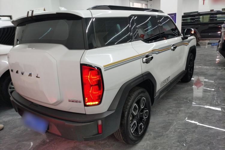 Used Haval X DOG 2022 1.5T DCT Two-Wheel Drive Trendy Edition Rear Right 45 Deg