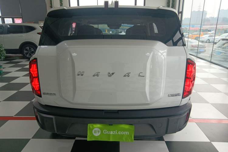 Used Haval X DOG 2022 1.5T DCT Two-Wheel Drive Trendy & Cool Edition Rear