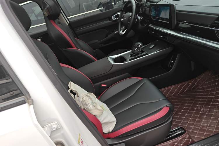 Used Haval X DOG 2022 1.5T DCT Two-Wheel Drive Trendy Edition Right Front Seat