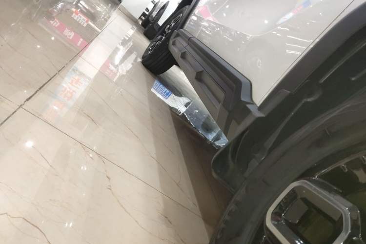 Used Haval X DOG 2022 1.5T DCT Two-Wheel Drive Trendy Edition Right Side Sill