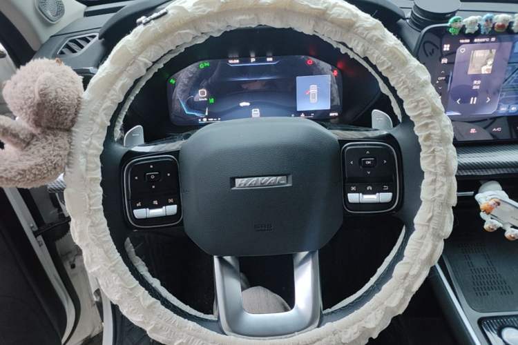 Used Haval X DOG 2022 1.5T DCT Four-Wheel Drive Trendy Wild Edition Steering Wheel