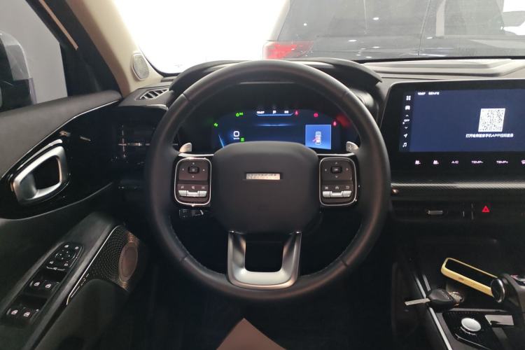 Used Haval X DOG 2022 1.5T DCT Two-Wheel Drive Trendy Edition Steering Wheel