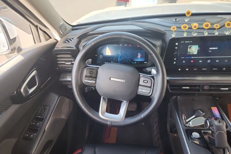 Used Haval X DOG 2022 1.5T DCT Two-Wheel Drive Trendy Edition Steering Wheel