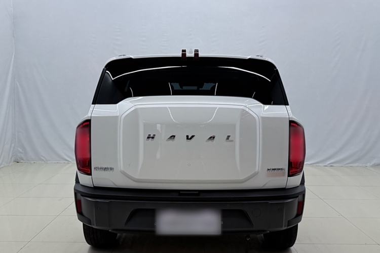 Used Haval X DOG 2022 1.5T DCT Four-Wheel Drive Trendy Wild Edition Trunk