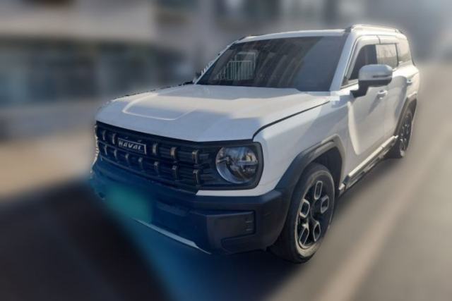 Used Haval X DOG 2022 1.5T DCT Two-Wheel Drive Trendy Edition