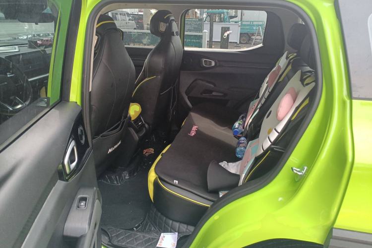 Used Haval X DOG 2022 1.5T DCT Two-Wheel Drive Trendy Edition Left Rear Seat