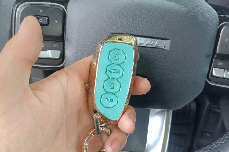 Used Haval X DOG 2022 1.5T DCT Two-Wheel Drive Trendy Edition Vehicle Key