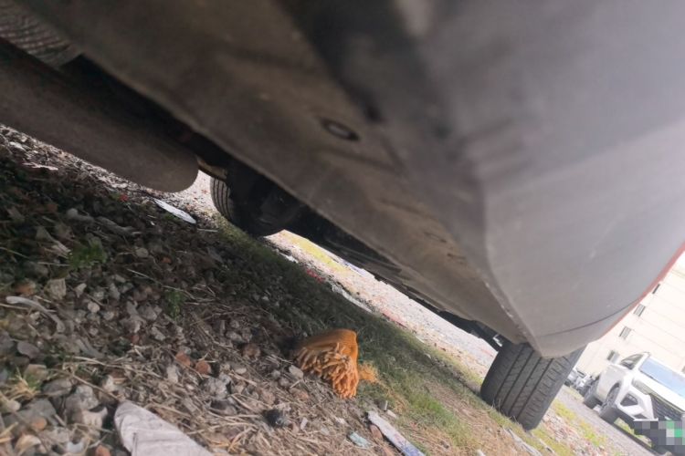 Used Haval XY 2022 1.5T Smart Edition Chassis Rear Right