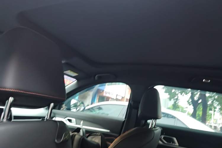 Used Haval XY 2022 1.5T Smart Edition Headliner