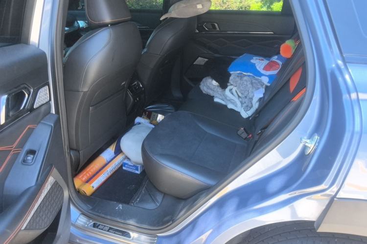 Used Haval XY 2022 2.0T ZhiZun All-Wheel-Drive Version Left Rear Seat