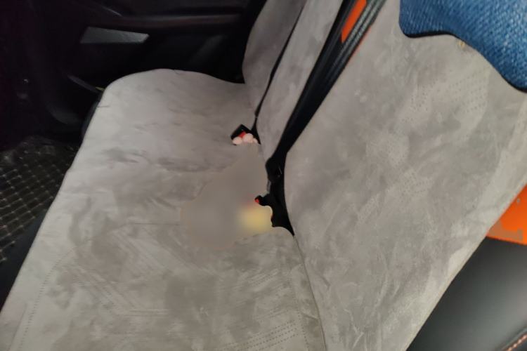 Used Haval XY 2022 1.5T ZhiZun Edition Left Rear Seat