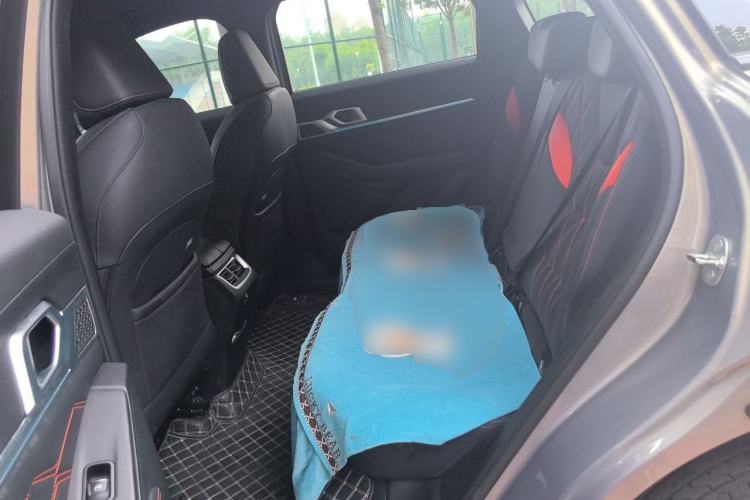 Used Haval XY 2022 1.5T Smart Edition Left Rear Seat