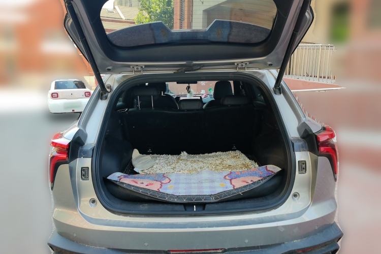 Used Haval XY 2022 1.5T Smart Edition Trunk