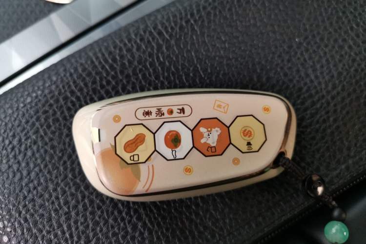 Used Haval XY 2022 1.5T Smart Edition Vehicle Key