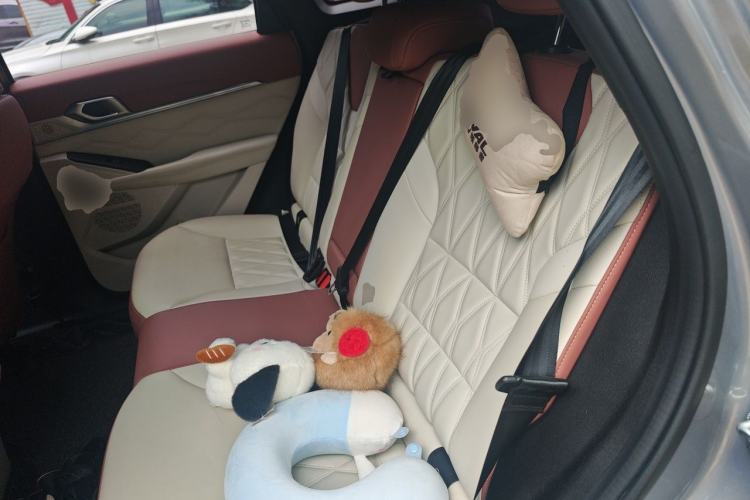 Used Haval XY 2022 1.5T Smart Edition Left Rear Seat