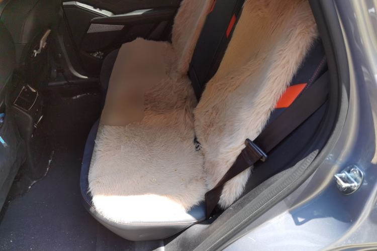 Used Haval XY 2022 1.5T ZhiZun Edition Left Rear Seat
