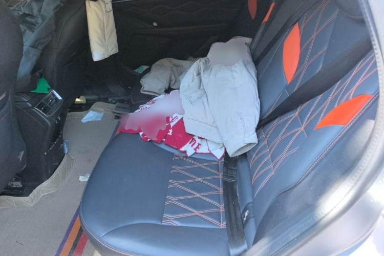 Used Haval XY 2022 1.5T Smart Edition Left Rear Seat