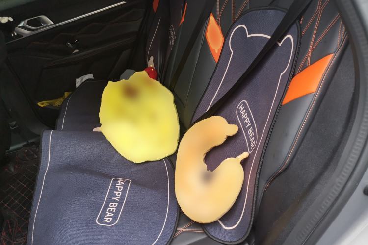 Used Haval XY 2022 1.5T Smart Edition Left Rear Seat