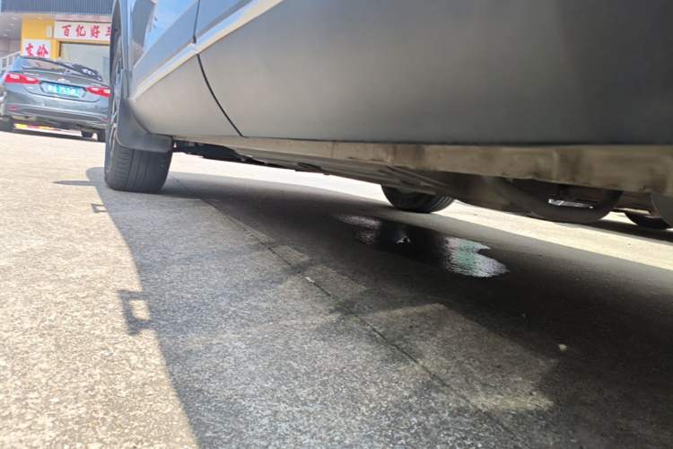 Used Haval XY 2022 1.5T ZhiZun Edition Left Side Sill