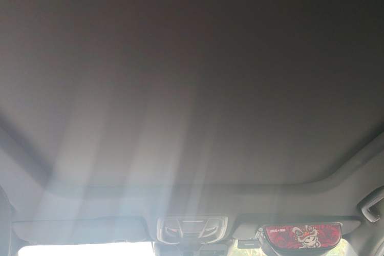 Used Haval XY 2022 1.5T ZhiZun Edition Headliner