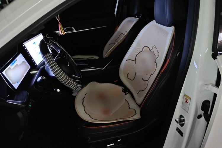 Used Haval XY 2022 1.5T Smart Edition Left Front Seat