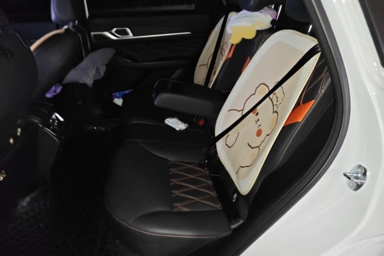 Used Haval XY 2022 1.5T Smart Edition Left Rear Seat