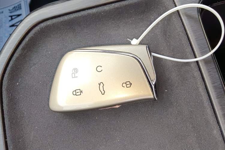 Used HEDMOS 06 2025 Model 520km Interior 1