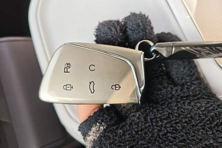 Used HEDMOS 06 2025 Model 520km Interior 1