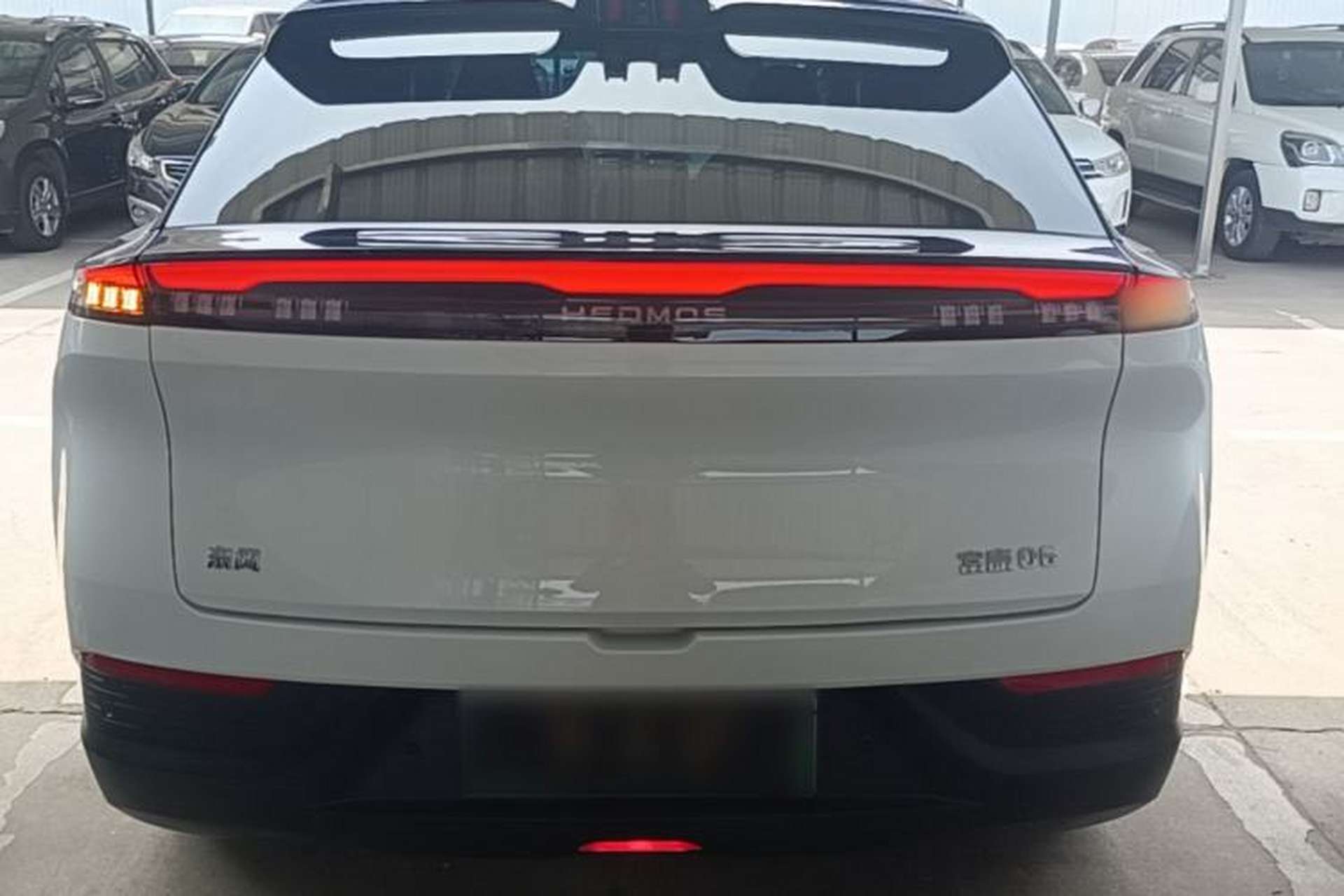 Used HEDMOS 06 2025 Model 520km Rear