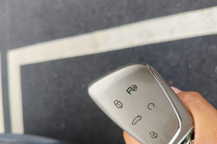 Used HEDMOS 06 2025 Model 520km Vehicle Key