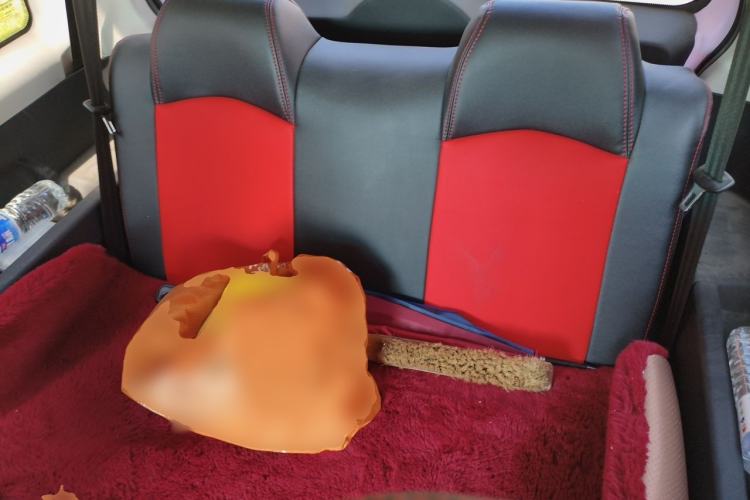 Used Hengrun HRS1 2022 Classic Model Left Rear Seat