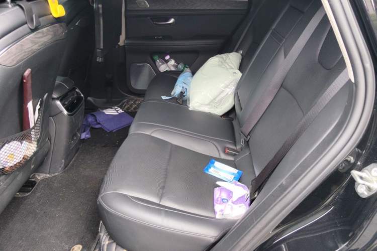 Used Hima AITO M5 2022 Extended-Range Four-Wheel Drive Performance Version Left Rear Seat