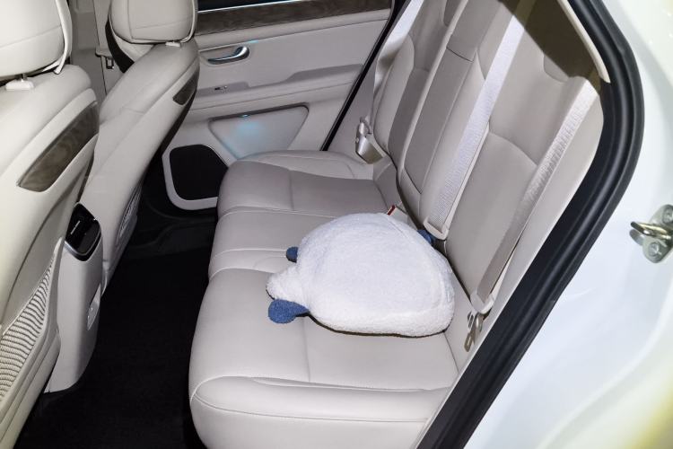 Used Hima AITO M5 2022 Extended-Range Four-Wheel Drive Ultimate Edition Left Rear Seat