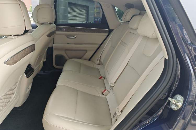Used Hima AITO M5 2022 Extended-Range Four-Wheel Drive Performance Version Left Rear Seat
