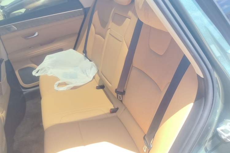 Used Hima AITO M5 2022 Extended-Range Four-Wheel Drive Ultimate Edition Left Rear Seat