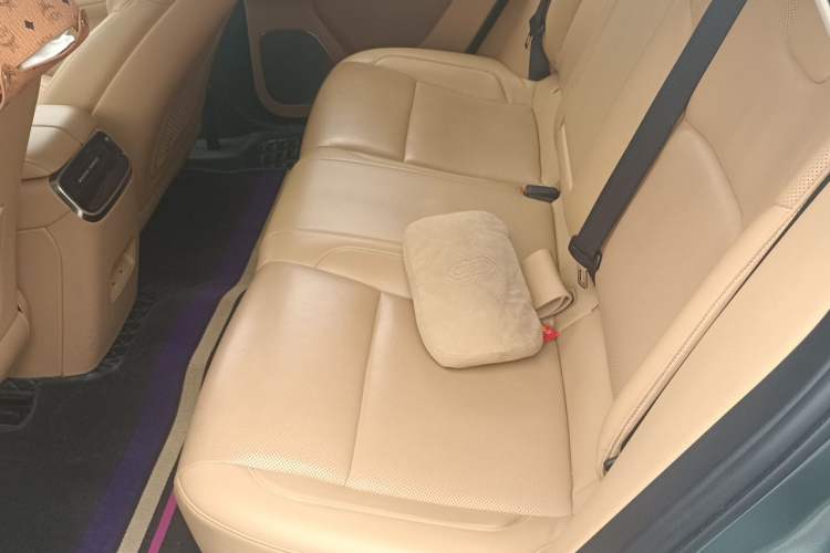 Used Hima AITO M5 2022 Extended-Range Four-Wheel Drive Ultimate Edition Left Rear Seat