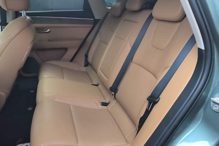 Used Hima AITO M5 2022 Extended-Range Four-Wheel Drive Ultimate Edition Left Rear Seat
